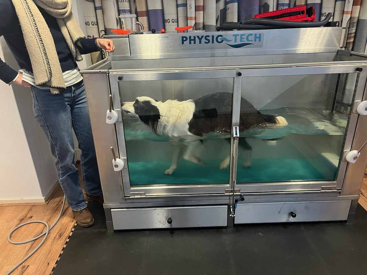 Hydrotherapie